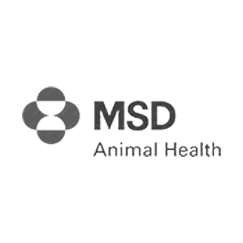 MSD